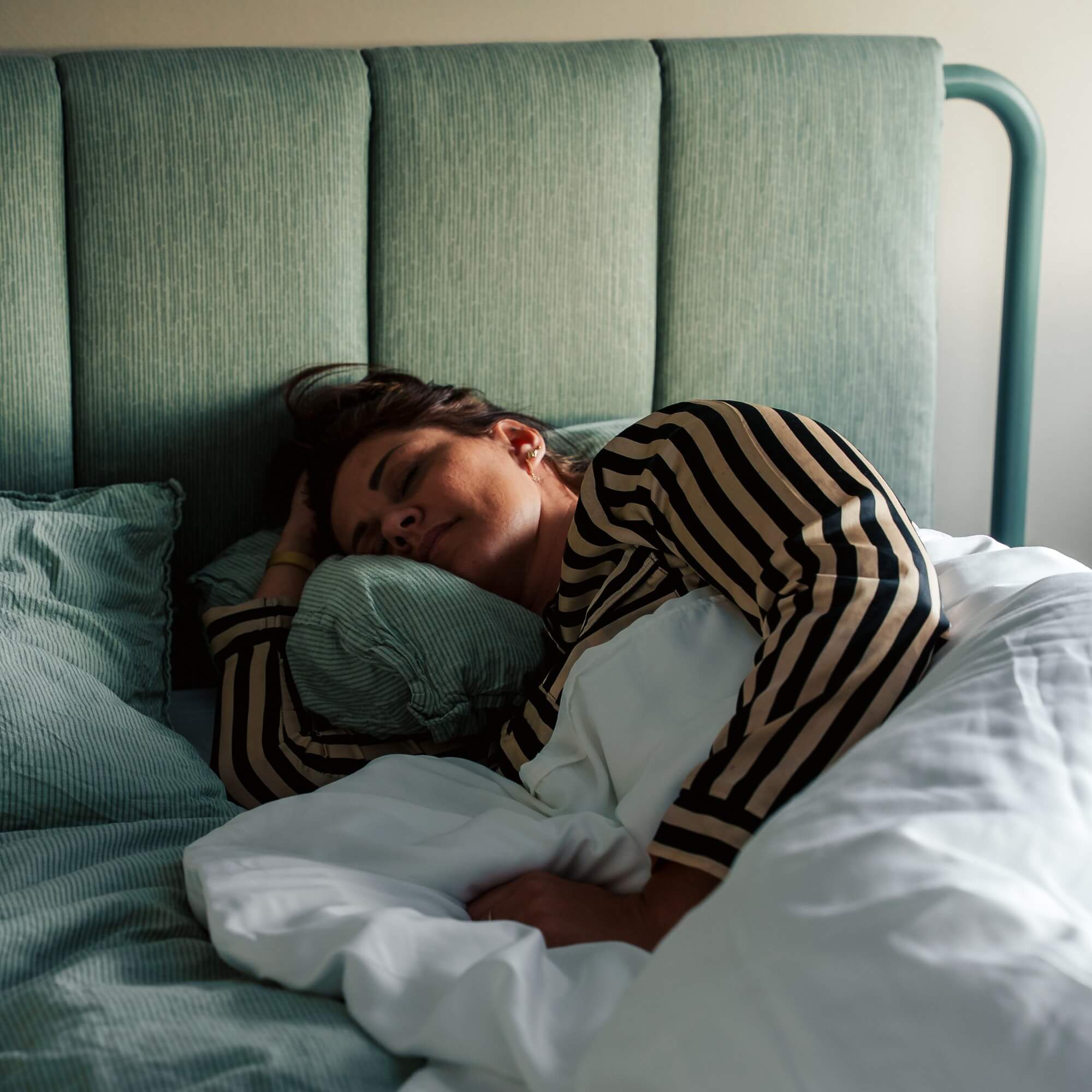 Tyngdedyne af Bambus (voksen)