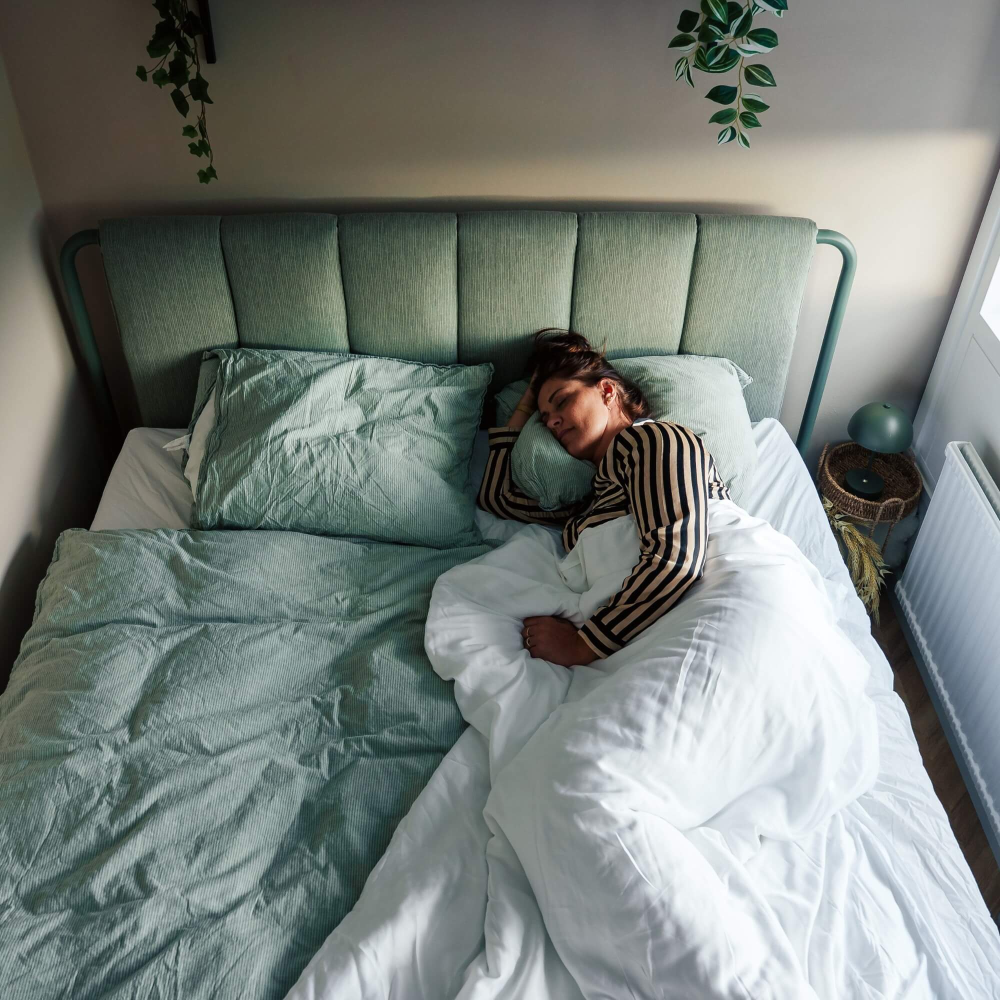 Tyngdedyne af Bambus (voksen)